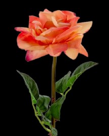 Coral/Pink Real Touch Large Bloom Open Rose Stem
26", 6" Bloom