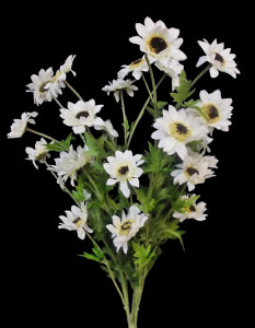 Cream Mini Sunflower x 5 
24", 2" - 3" Blooms