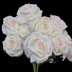 Cream Open Rose x 9
18"