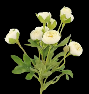 Cream/White Mini Ranunculus Stem
22"