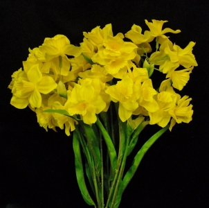 Daffodil x 9
22"