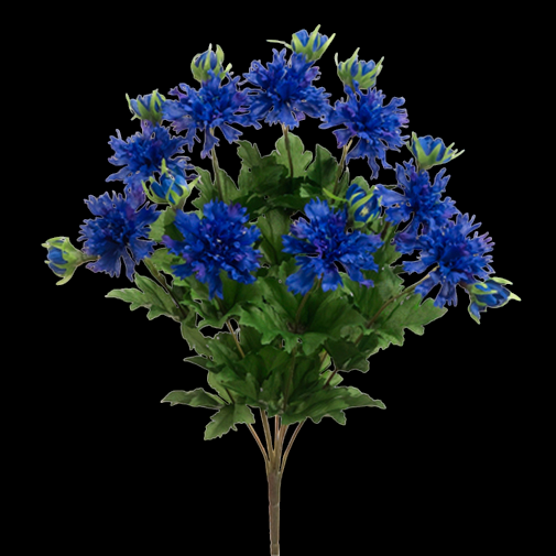 Dark Blue Cornflower x 15
18"