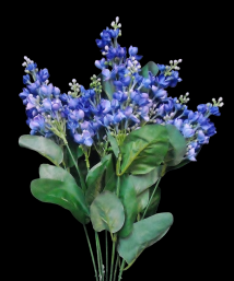Dark Blue Lilac x 9 
19"