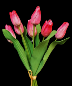 Dark Pink Tulip Bundle x 7 
15"