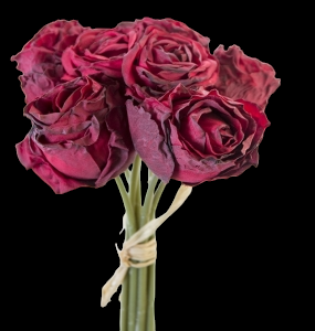 Dark Red Dried Rose Bundle x 8
9"