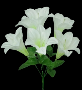 Easter Lily x 6
15", 3.5" Blooms