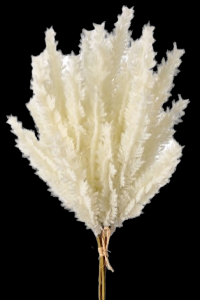 Flocked Cream Pampas Grass Plume Bundle x 3 
14"