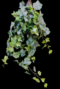 Frost Green Ivy Hanger 
28"