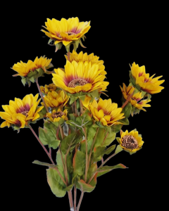 Gold Sunflower x 5 
25", 1" - 4" Blooms