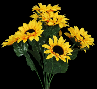 Gold Sunflower x 9
20" , 5.5" Blooms