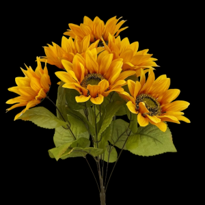 Golden Yellow Sunflower x 8 
18" , 6" Blooms