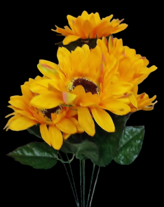 Golden Yellow Sunflower x 9
22", 5" Blooms