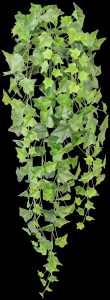 Green Real Touch Ivy Hanger 
40"