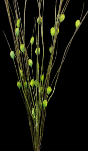 Green Twigs with Leaves
40"