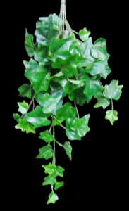 Green Weatherproof Ivy x 78 
22"
