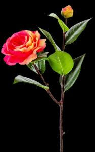Hot Pink Real Touch Camellia Spray x 2 
20"