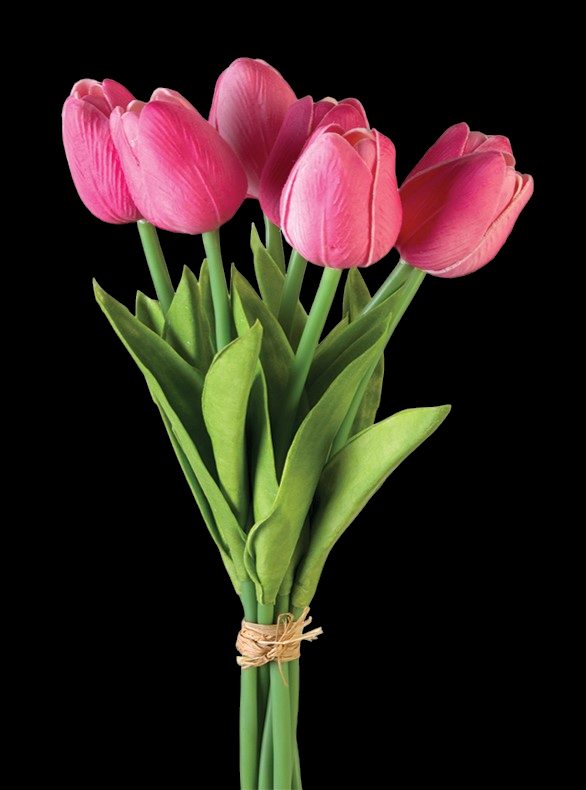 Hot Pink Tulip Bundle x 7
12"