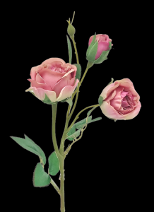 Lavender English Garden Rose  x 3 Stem
17"