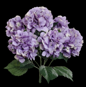 Lavender Hydrangea x 7 
22"