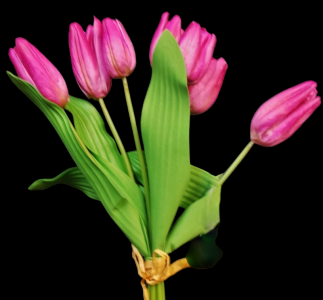 Lavender Tulip Bundle x 7 
15"