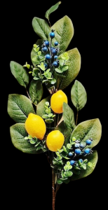 Lemon Blueberry Eucalyptus Spray
35"