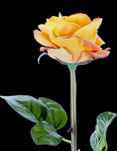 Light Orange Real Touch Beauty Open Rose Stem
25", 4" Bloom