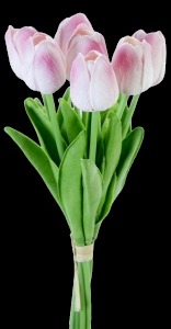 Light Pink Tulip Bundle x 7
12"
