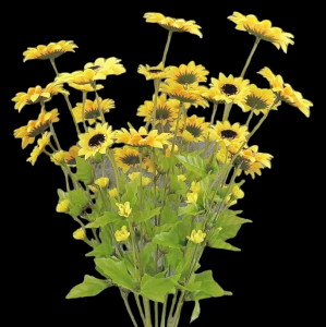 Yellow Mini Sunflower x 10