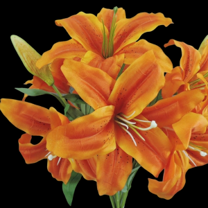 Orange Lily x 9 
21", 8" Blooms