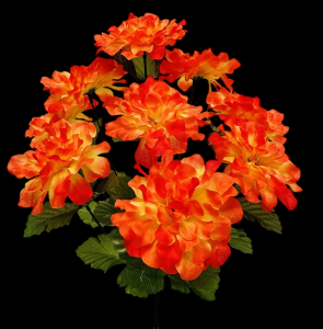 Orange Marigold x 9 
16"