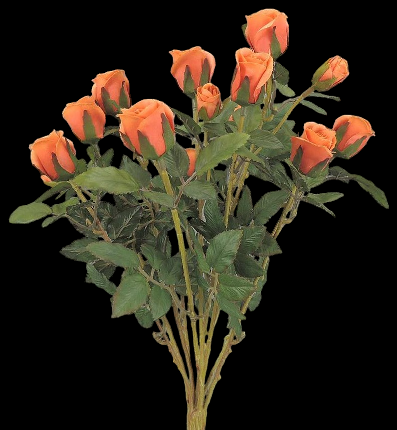 Orange Mini Rose Bush x 11
16"