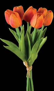 Orange Tulip Bundle x 7
12"