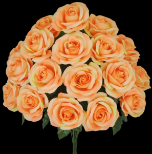 Peach Open Rose x 18 
22"