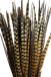 Pheasant Feathers S/12
