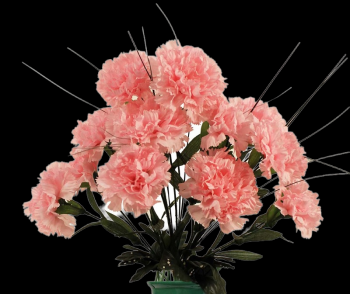 Pink Carnation x 14 
18"