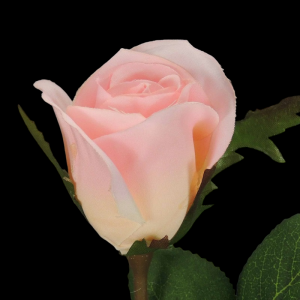 Pink Long Stem Rose Bud S/12
26"