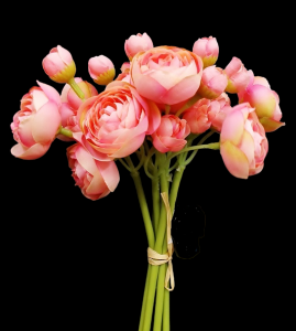 Pink Mini Ranunculus Bundle x 6
10"