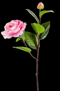 Pink Real Touch Camellia Spray x 2
20"