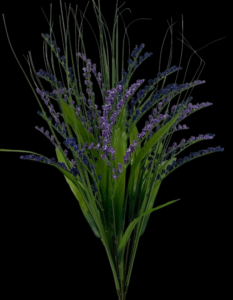 Purple Filler Grass Bush x 12
24"