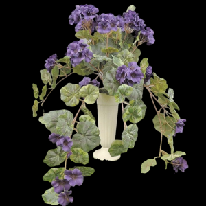 Purple Geranium with Vines x 12 
20"