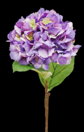 Purple/Lavender Mophead Hydrangea Stem
25"