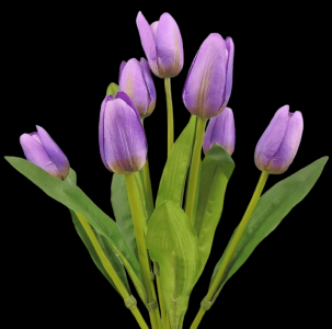 Purple Tulip x 9 
16"