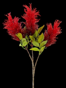 Red Feather Celosia Spray x 3 
33"