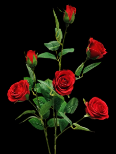 Red Garden Rose Spray x 5
29"