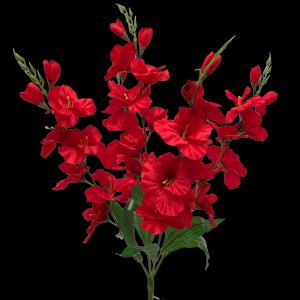 Red Gladiolus x 5 
28"