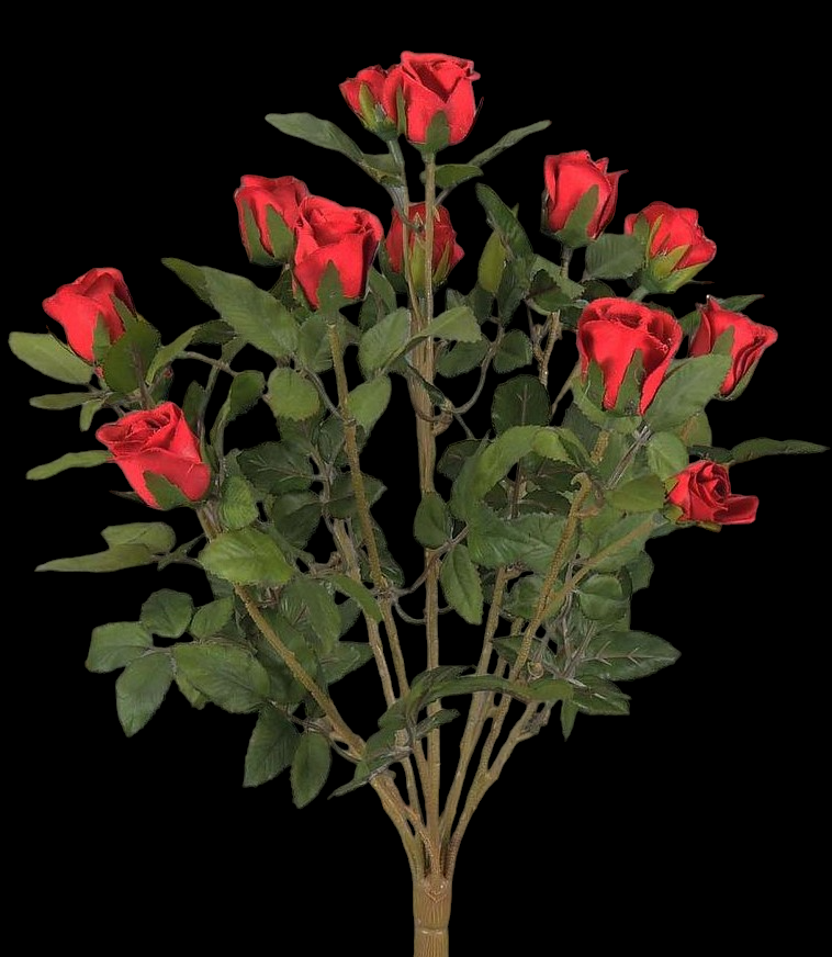 Red Mini Rose Bush x 11 
16"