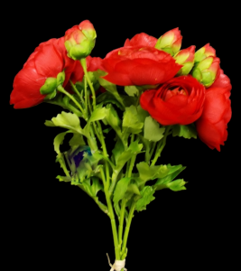 Red Ranunculus Bundle x 3
16"