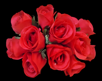Red Sweetheart Rose Bud Pick  S/12
6" Pick 