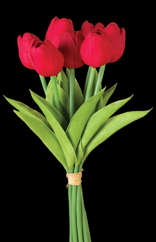 Red Tulip Bundle x 7 
12"