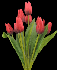 Red Tulip x 9 
16"